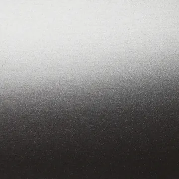 50mm 21 RAL 000 85 00 METALLIC silver