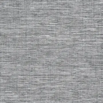 Breezia Snow Black