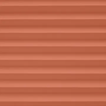 Debadan Coral Coral
