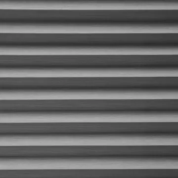 Troye Grey