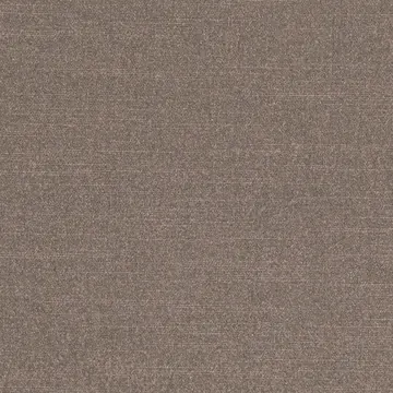 Cara Antique